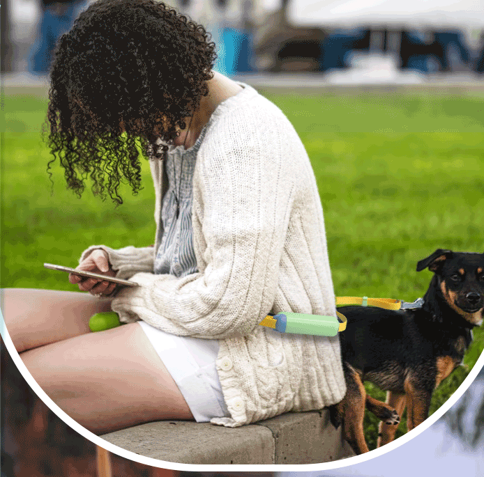 Pet Retractable Adjustable Dog Leash
