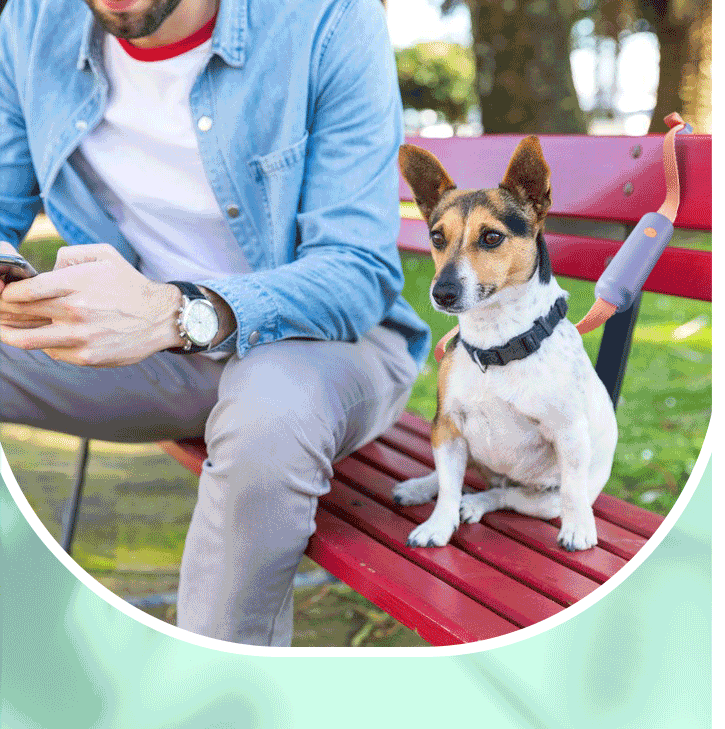 Pet Retractable Adjustable Dog Leash