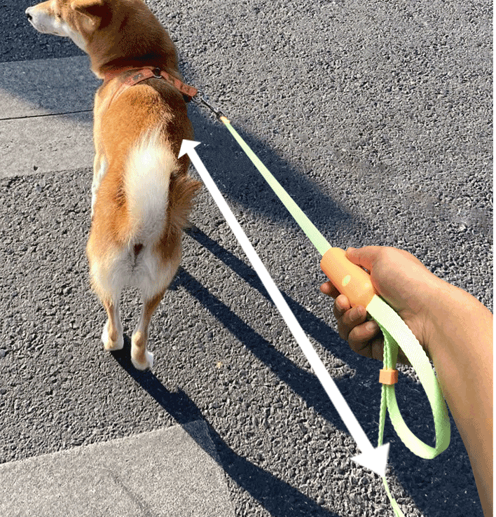 Pet Retractable Adjustable Dog Leash