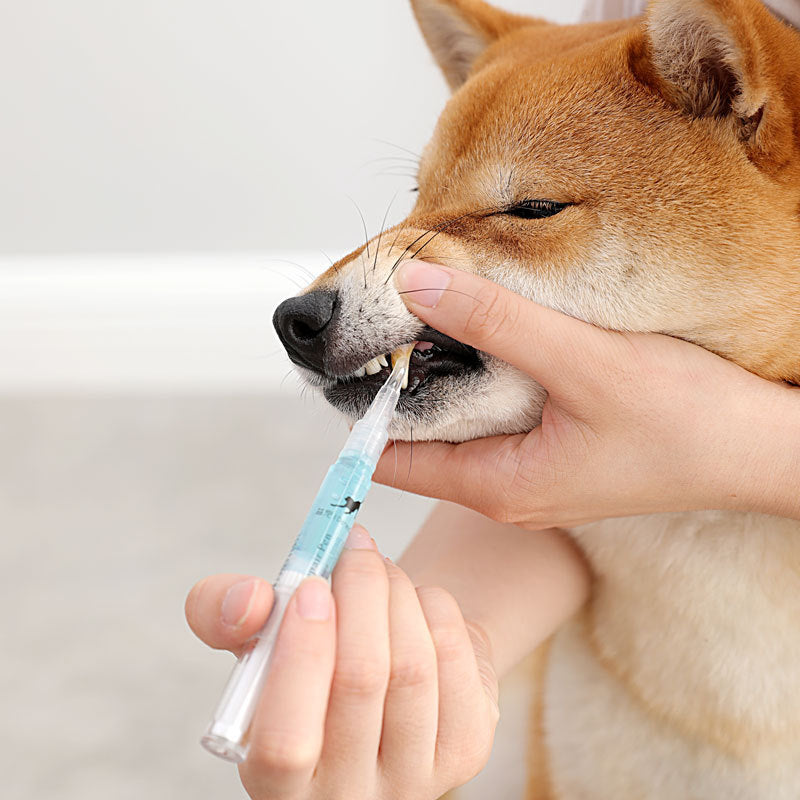 Pet Teeth Repairing Pen Kit