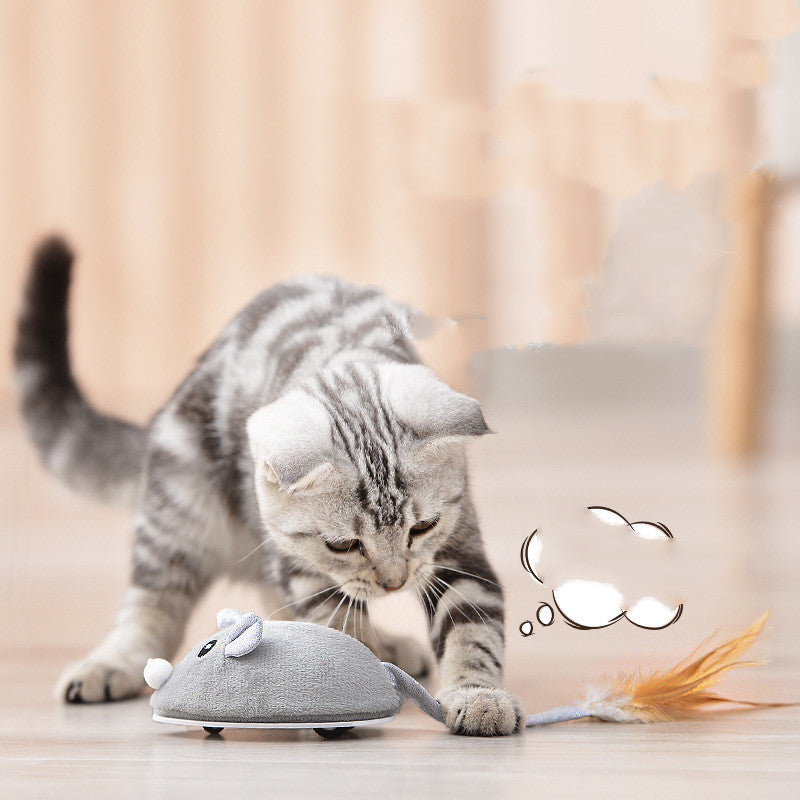 Pet Cat Toy Crawling Mouse With USB Charging