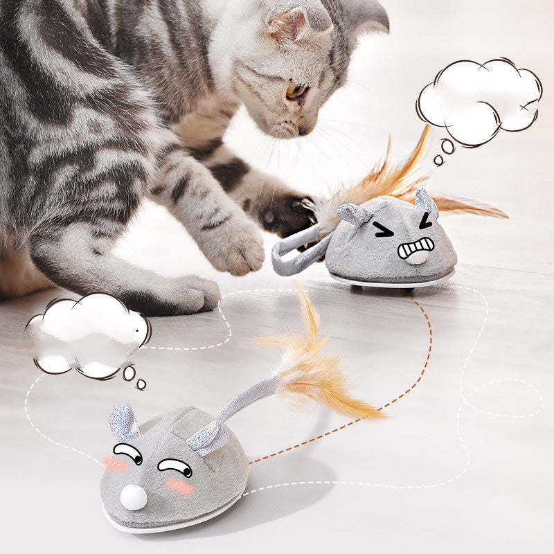 Pet Cat Toy Crawling Mouse With USB Charging